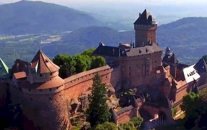 Location de vacances - Gîte à Bergheim