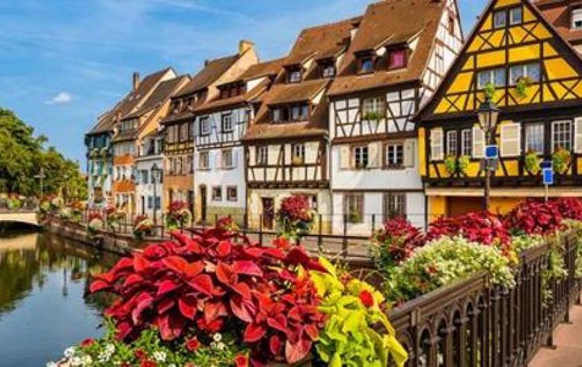 Location de vacances - Gîte à Bergheim