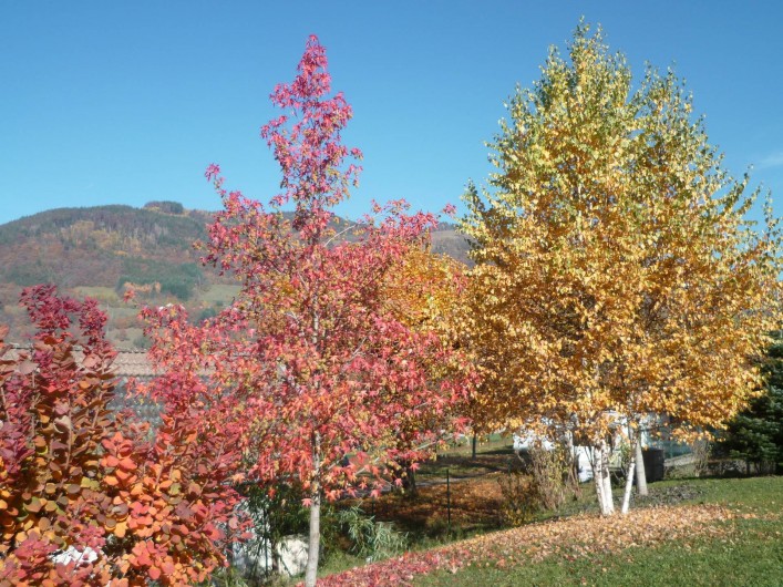 Location de vacances - Chalet à Theys - paysage automne