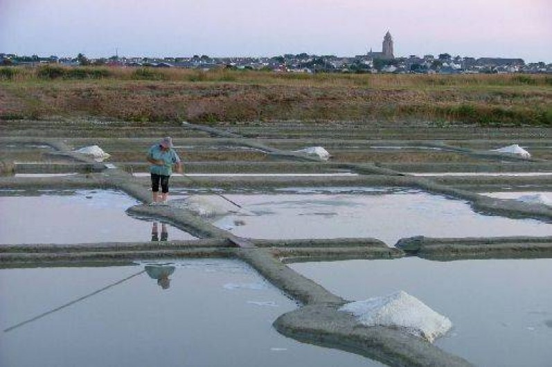 Location de vacances - Villa à Le Croisic