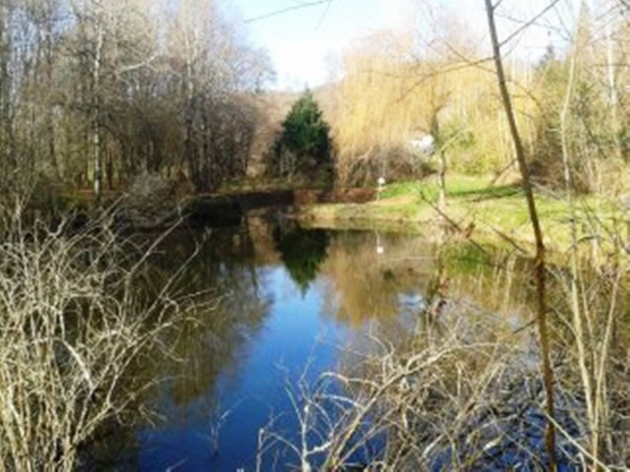 Location de vacances - Gîte à Terrasson-Lavilledieu - ETANG