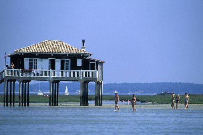 Location de vacances - Gîte à Lacanau