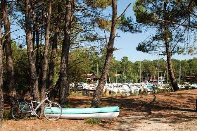 Location de vacances - Gîte à Lacanau