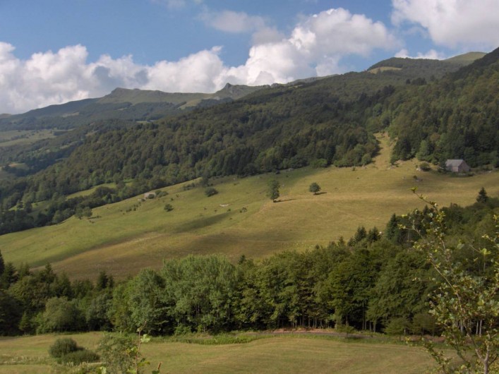 Location de vacances - Gîte à Le Falgoux - La vallée avoisinante