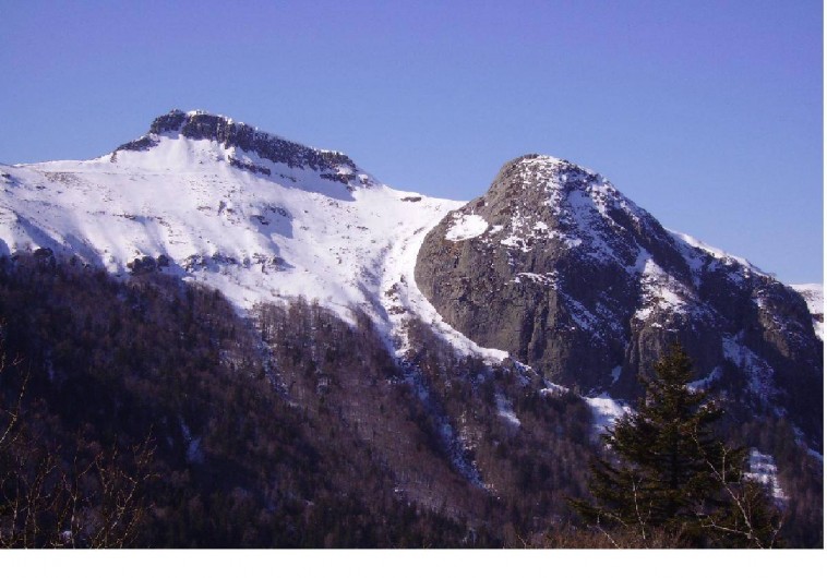 Location de vacances - Gîte à Le Falgoux - Vue de la maison en hiver