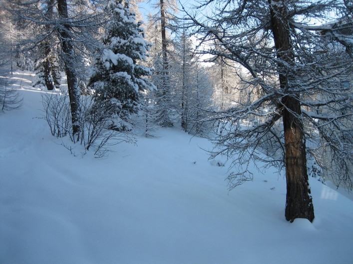 Location de vacances - Chalet à Station de Risoul 1850