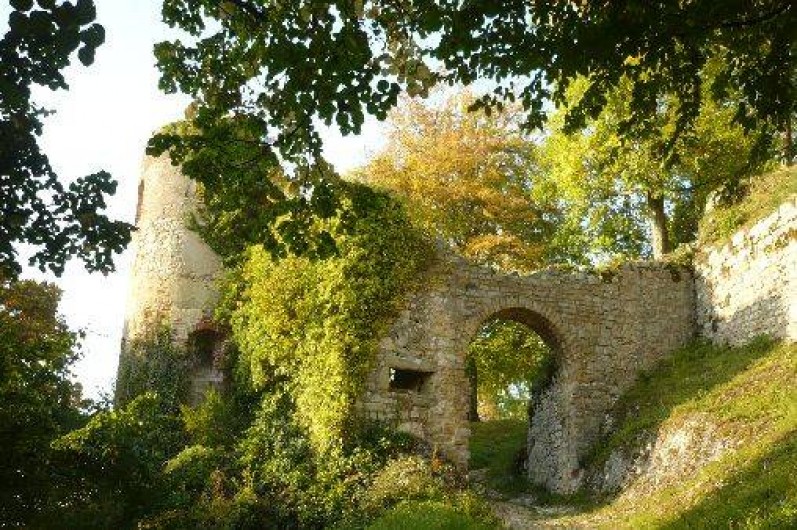 Location de vacances - Gîte à Ferrette - promenade et accès direct au château de Ferrette