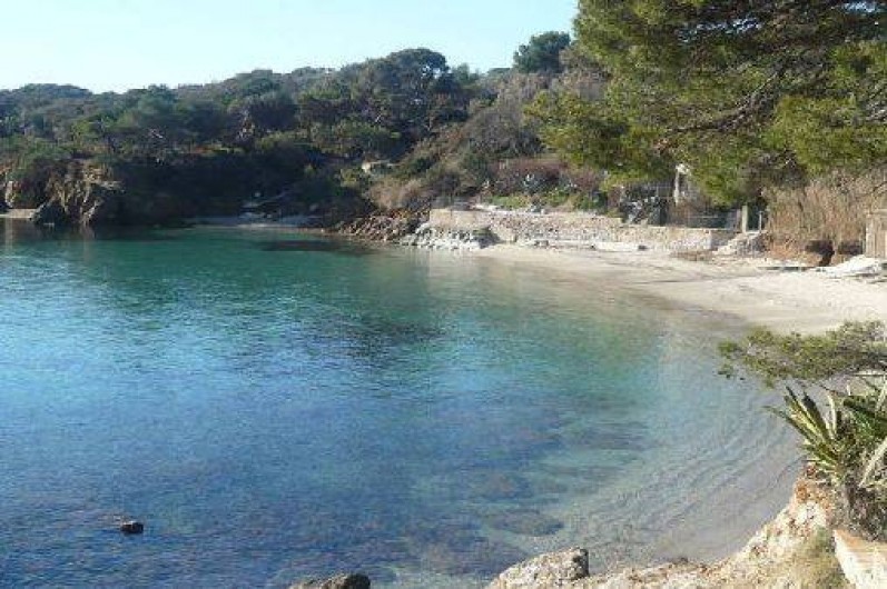 Location de vacances - Camping à Hyères
