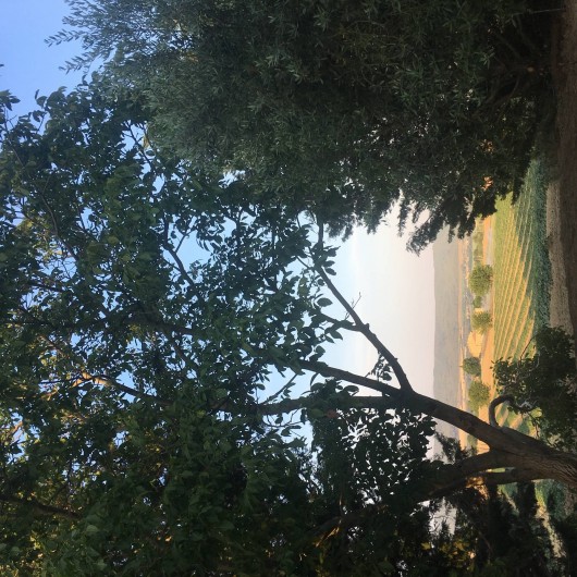 Location de vacances - Gîte à Lurs - Vue de la terrasse du gite "côté mas"