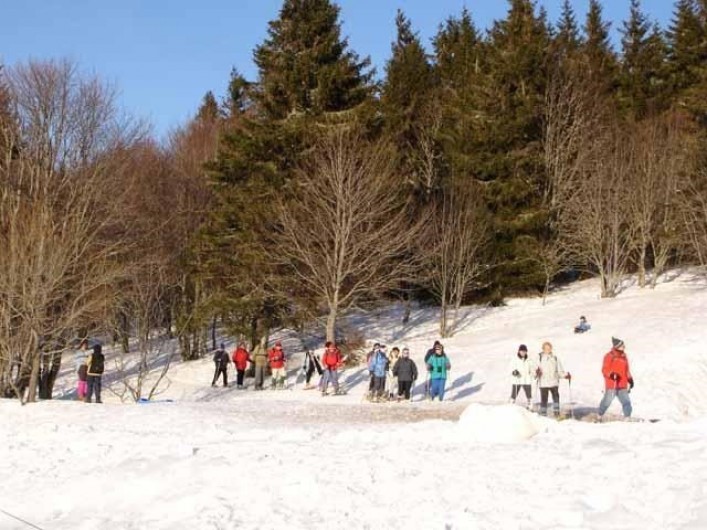 Location de vacances - Appartement à Gérardmer - piste de skis