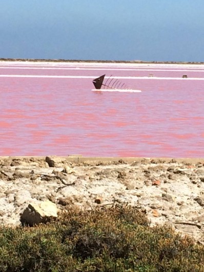 Location de vacances - Appartement à Lagrasse - Les Salins a Gruissan