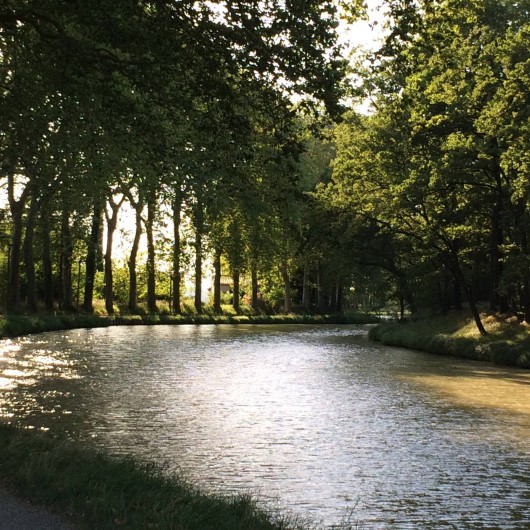Location de vacances - Appartement à Lagrasse - Canal du Midi