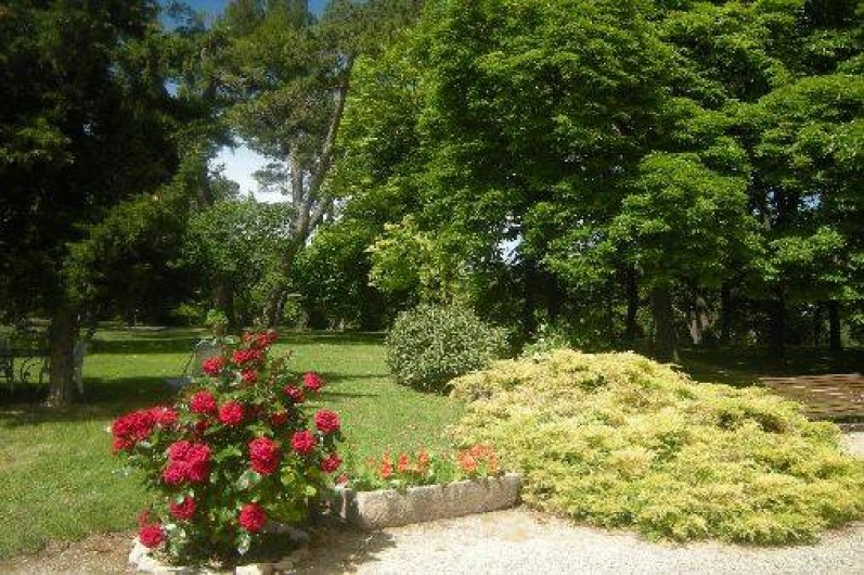 Location de vacances - Gîte à Apt