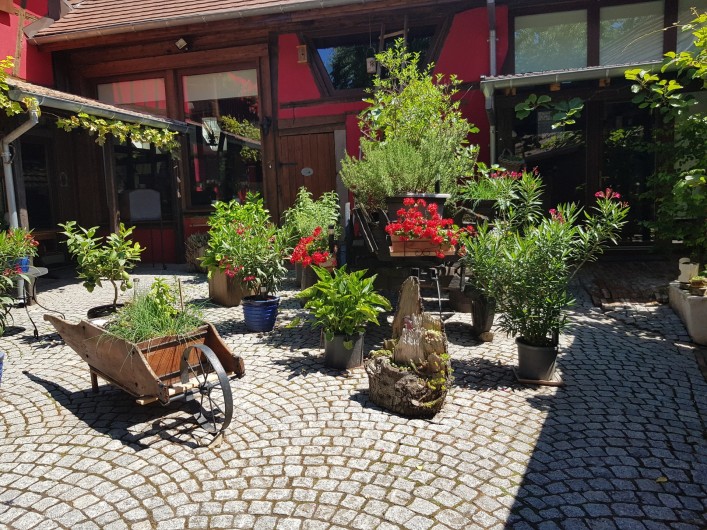 Location de vacances - Gîte à Olwisheim - la cour pavée