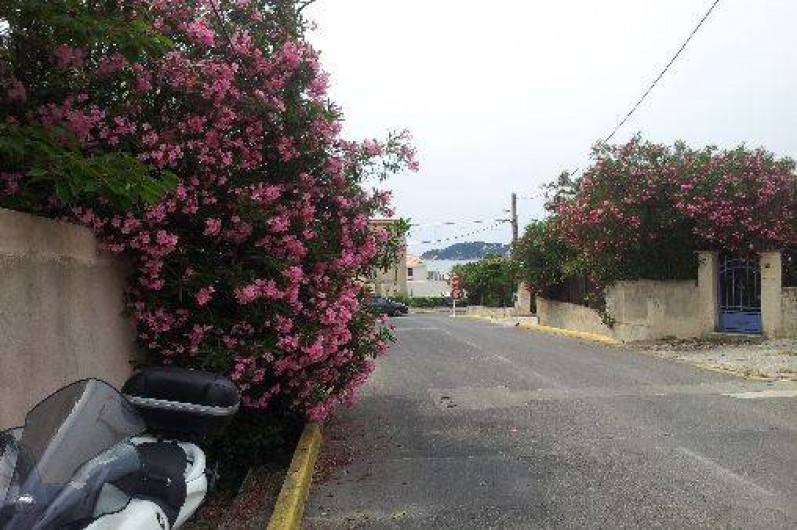 Location de vacances - Studio à Six-Fours-les-Plages