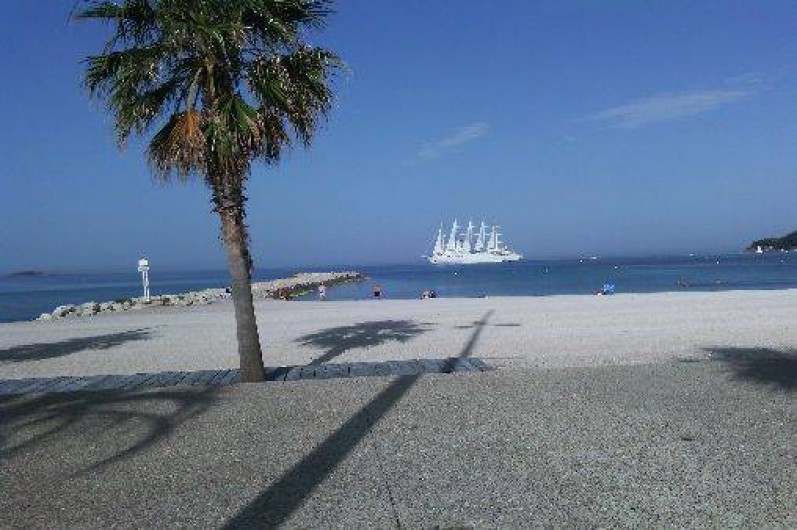 Location de vacances - Studio à Six-Fours-les-Plages