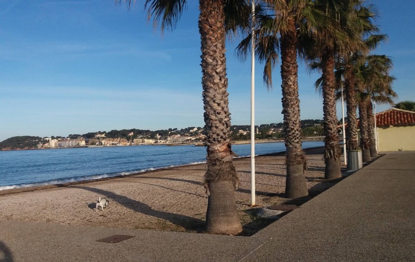Location de vacances - Studio à Six-Fours-les-Plages