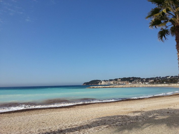 Location de vacances - Studio à Six-Fours-les-Plages