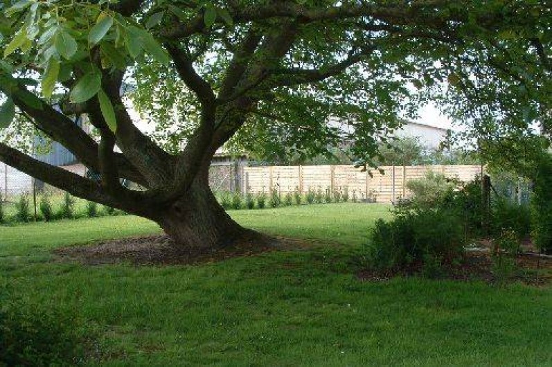 Location de vacances - Gîte à Friville-Escarbotin