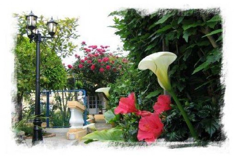 Location de vacances - Villa à Antibes