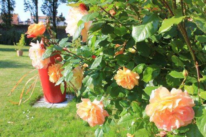 Location de vacances - Appartement à La Tranche-sur-Mer