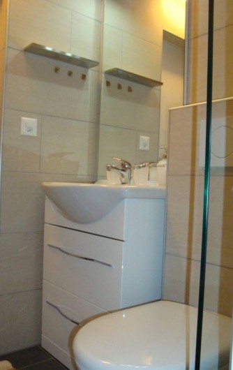 Location de vacances - Appartement à Les Breuleux - salle de douche