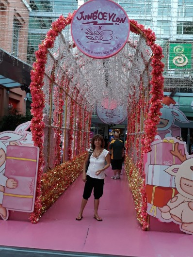 Location de vacances - Villa à Sesmarias - Le propriétaire