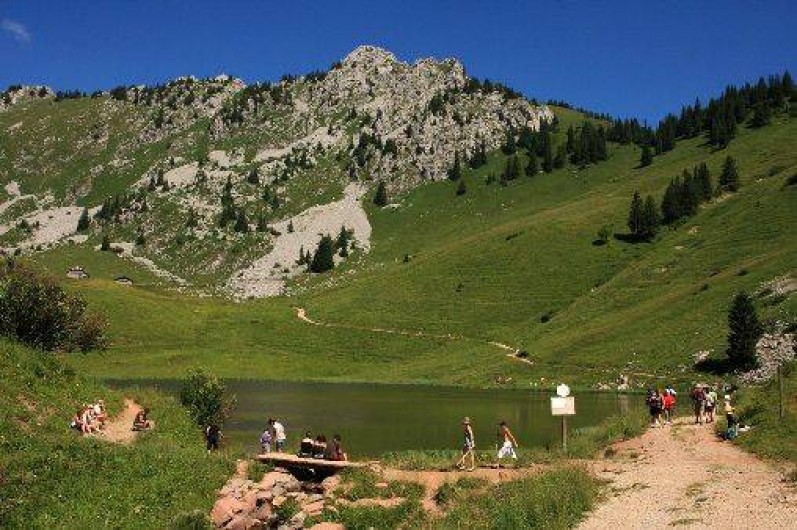 Location de vacances - Camping à Sciez