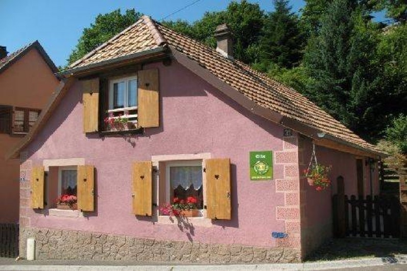 Location de vacances - Gîte à Bernardvillé