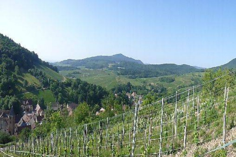 Location de vacances - Gîte à Bernardvillé