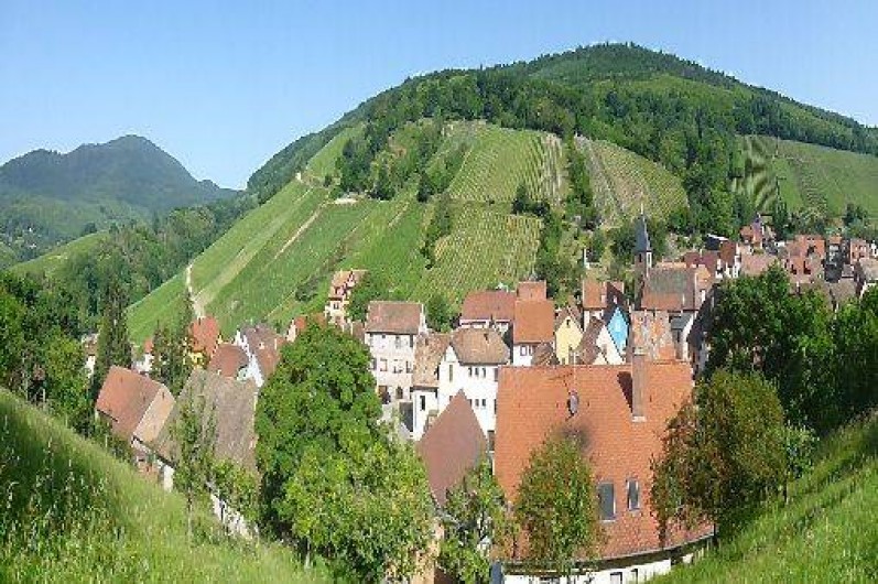 Location de vacances - Gîte à Bernardvillé