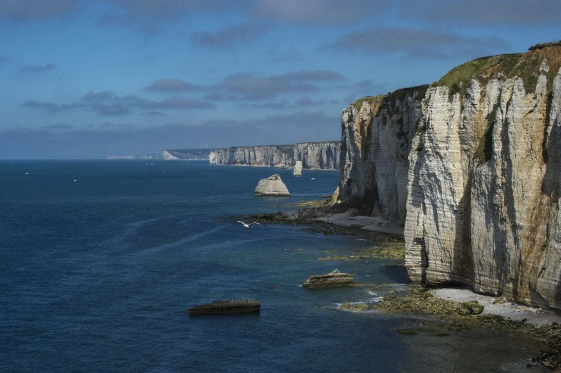 Location de vacances - Gîte à Saint-Martin-aux-Buneaux - Falaises de la Côte d'Albâtre