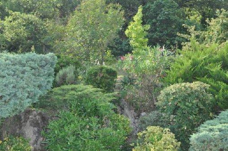 Location de vacances - Gîte à Le Vigan