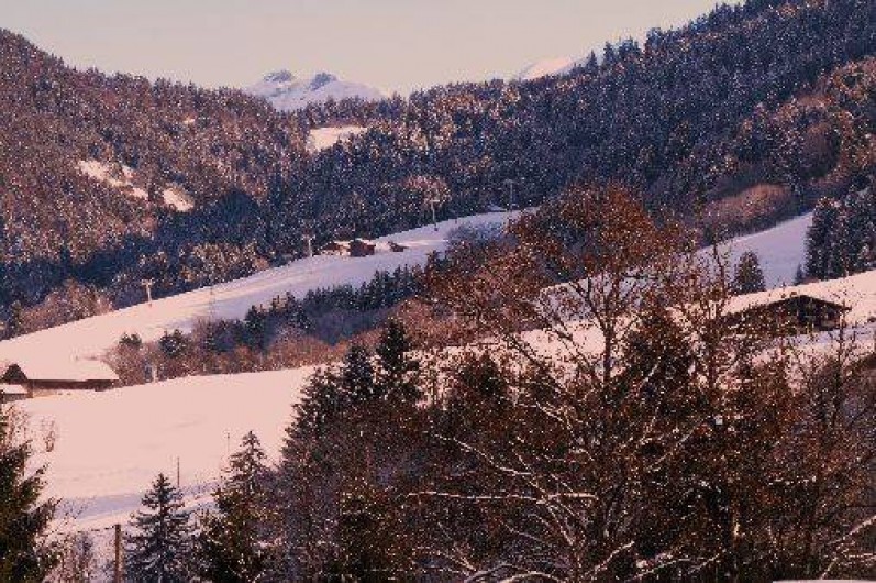 Location de vacances - Chalet à Praz-sur-Arly