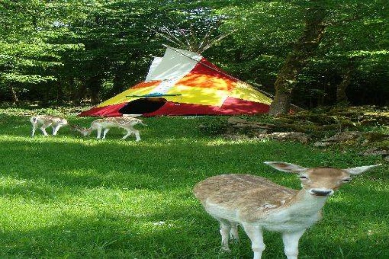 Location de vacances - Gîte à Pratz