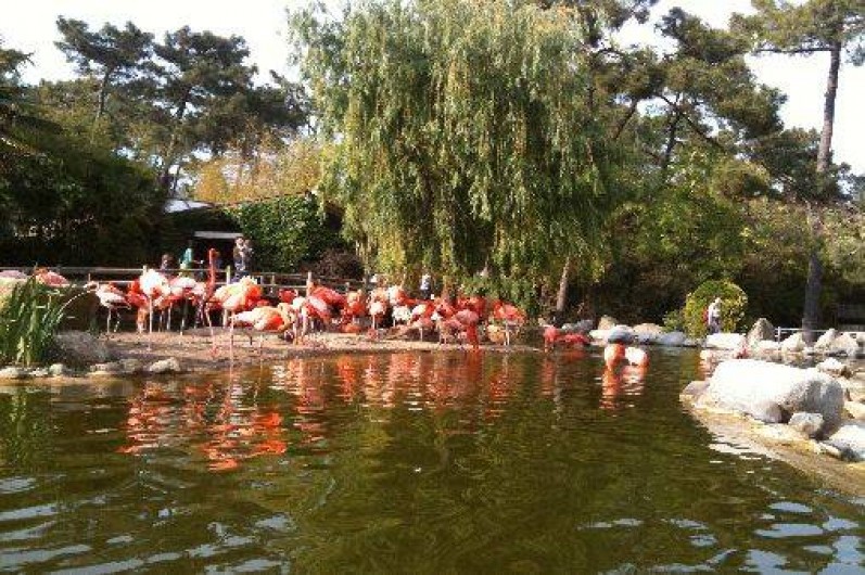 Location de vacances - Bungalow - Mobilhome à Les Mathes