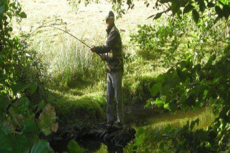 Location de vacances - Gîte à Dompierre-les-Églises