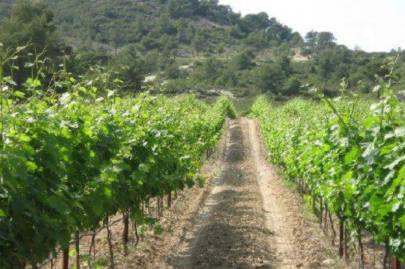 Location de vacances - Gîte à Ventabren