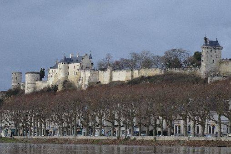 Location de vacances - Maison - Villa à Beaumont-en-Véron