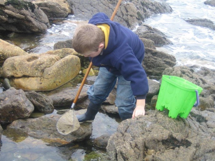 Location de vacances - Gîte à Clohars-Carnoët - Activité : pèche à pieds