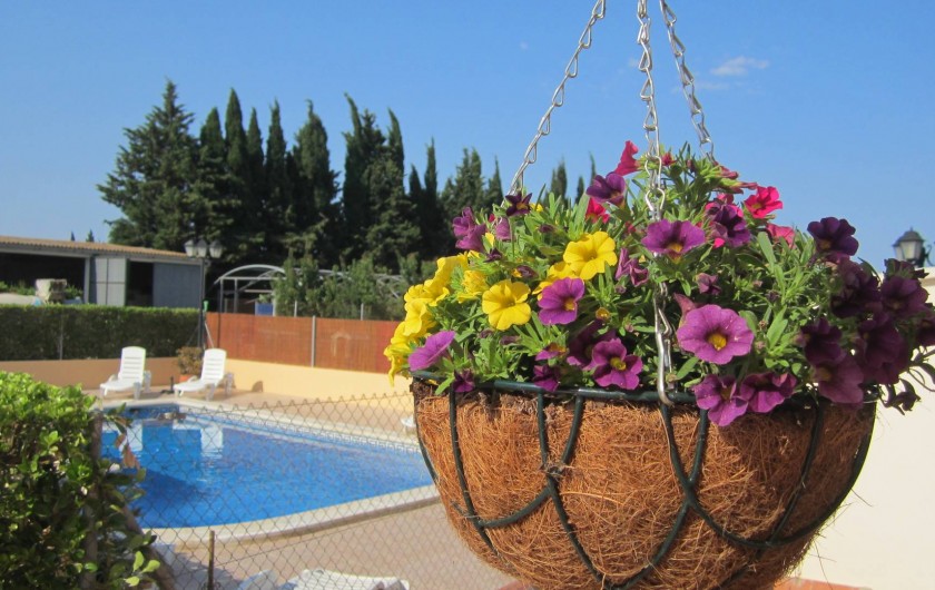 Location de vacances - Appartement à Sant Pere Pescador