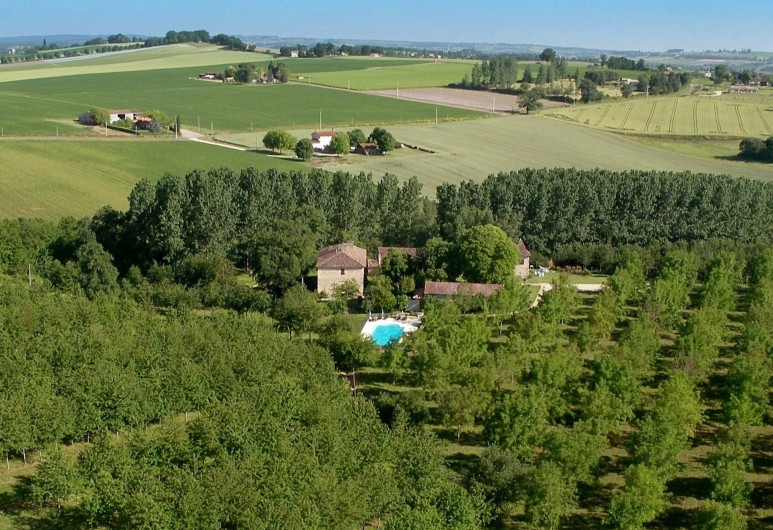 Location de vacances - Gîte à Nérac - La propriété et ses plantations d'arbres vues du ciel ©Pehillo