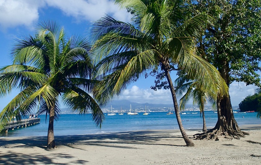 Location de vacances - Appartement à Les Trois-Îlets - Plage de l'Anse à l'Âne
