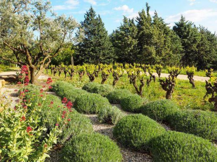 Location de vacances - Gîte à Le Bosc