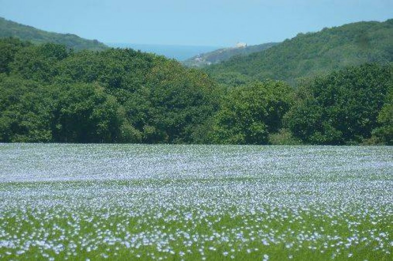 Location de vacances - Maison - Villa à Étretat