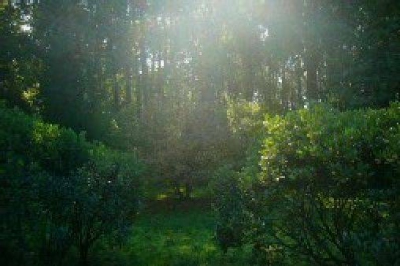 Location de vacances - Villa à Vieux-Boucau-les-Bains