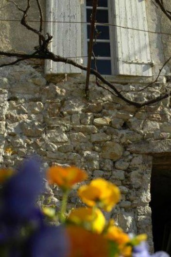 Location de vacances - Chambre d'hôtes à Cros