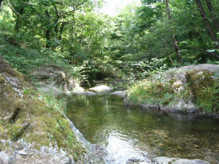 Location de vacances - Chambre d'hôtes à Cros