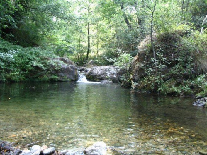 Location de vacances - Chambre d'hôtes à Cros