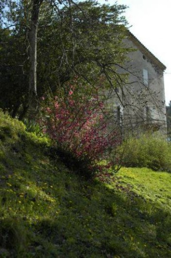 Location de vacances - Chambre d'hôtes à Cros